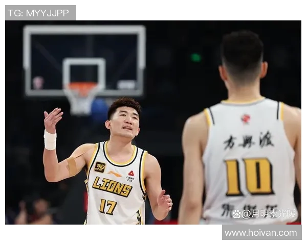 季后赛精彩对决辽宁队与浙江队央视录像回放全程回顾与精彩瞬间分析